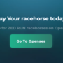 Guide to Buying a Great Zed Run Starter Horse